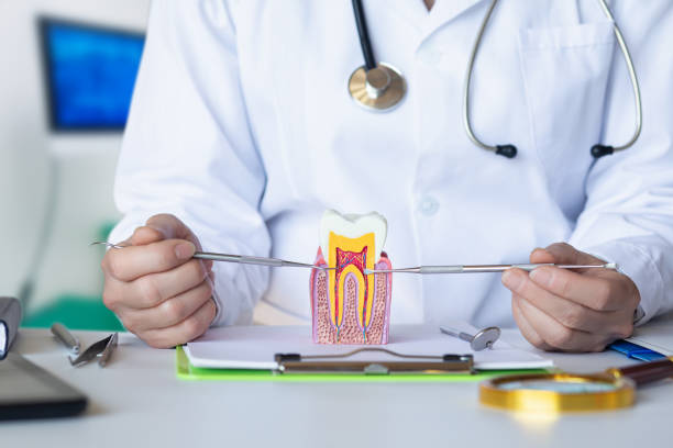 Best Broken or Chipped Tooth Repair in Pasco, WA